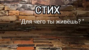 СТИХ | Для чего ты живёшь?