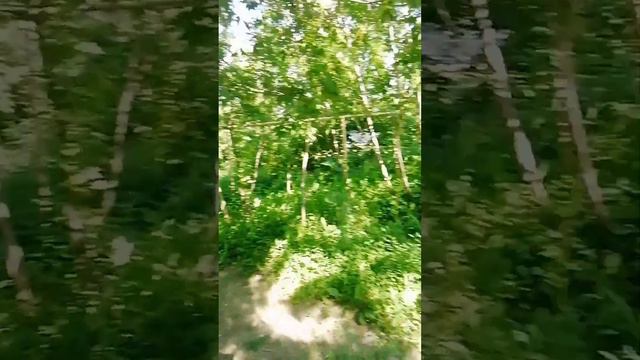 ДИВНОГОРЬЕ. ВОРОНЕЖСКАЯ ОБЛАСТЬ