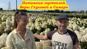 Питомник гортензий Веры Глуховой в Самаре. часть-2