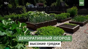 Очень удобные гряды. Красивый огород.