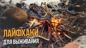 Крутые лайфхаки для выживания!