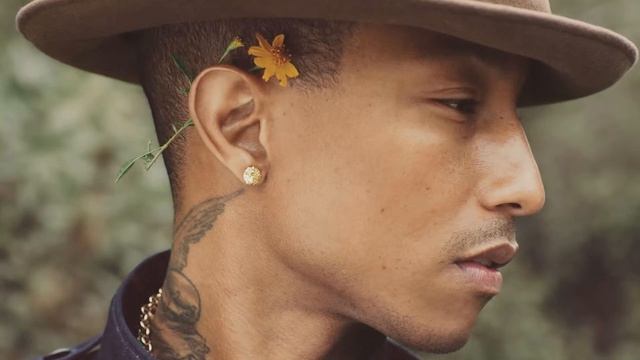 Pharrell Williams - Gust of Wind Acapella (Vocals Only) смотреть онлайн