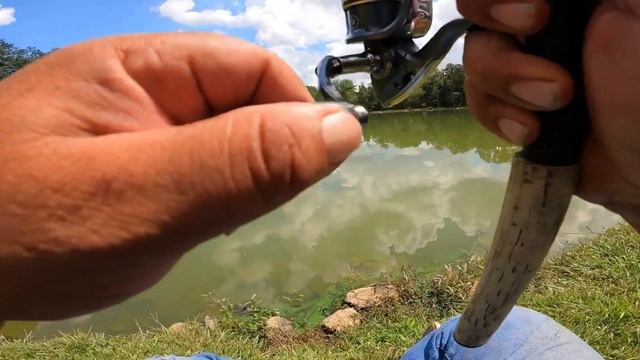 Catfish and goldfish on gulp Alive minnow смотреть онлайн