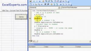 ExcelExperts.com - VBA Tutorial - Convert Text To Number