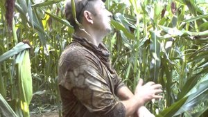 Охота с курцхааром по перу!