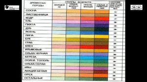 ЛЕСНОЕ ХОЗЯЙСТВО БАЛТИЙСКОЙ КОСЫ