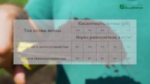 Как применять Раскислитель Известь Гуми