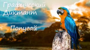 Графический Диктант Попугай
