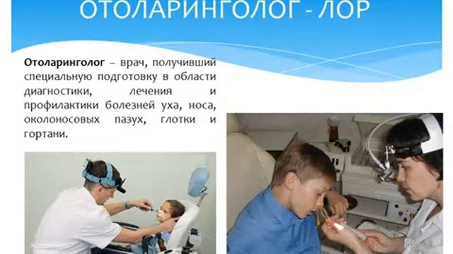 Органы чувств человека обоняние