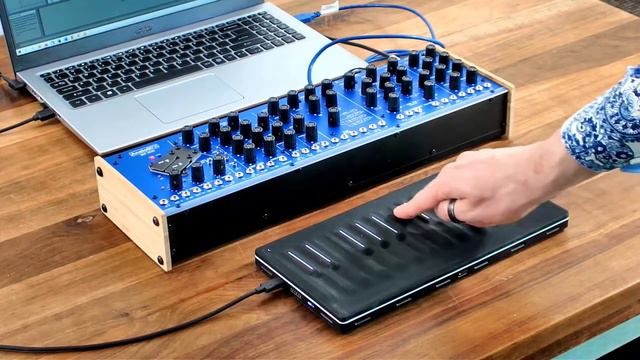 AnalogFX SER-2020 - Analog Formant Synthsizer - MPE Control - Based on the Synton Syrinx смотреть онлайн