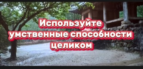 Используйте умственные способности целиком!