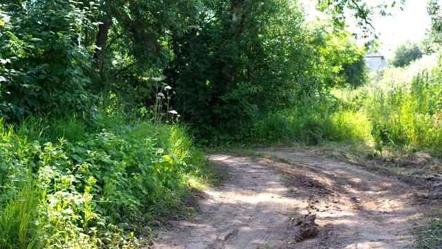 Тестируем электрическое моноколесо Solowheel Xtreme на бездорожье