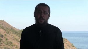 Можно ли стерилизовать кошку. Священник Игорь Сильченков