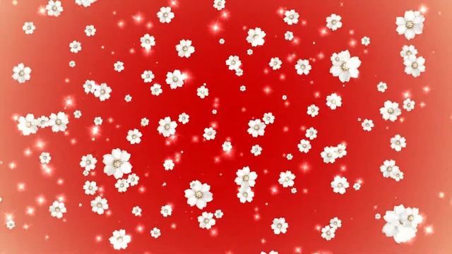 Футаж Белые цветы и звездочки на красном фоне. Фон для монтажа