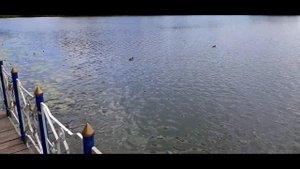 ЛЕТНИЙ ДЕНЬ В РАИФСКОМ ЗАПОВЕДНИКЕ ❤️ ТАТАРСТАН