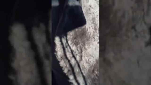 Меховые накидки Dekola. Отзыв. смотреть онлайн