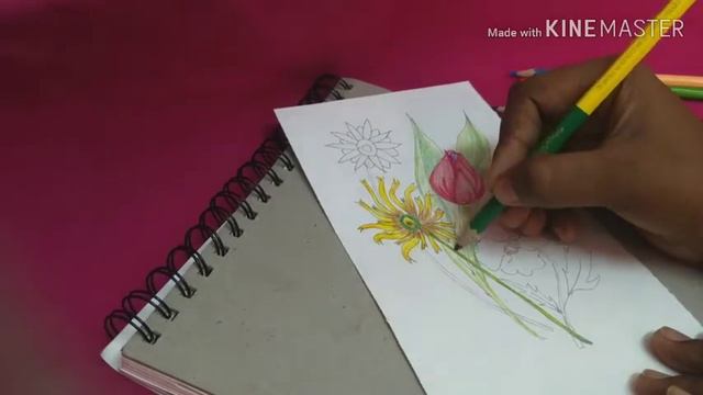 How to draw a Bouquet of flowers with color pencils♥️🌷🌸 ||art by saranya смотреть онлайн