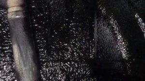 Фольксваген Джетта жидкие подкрылки защитят водителя от шума, а колесные арки от повреждений