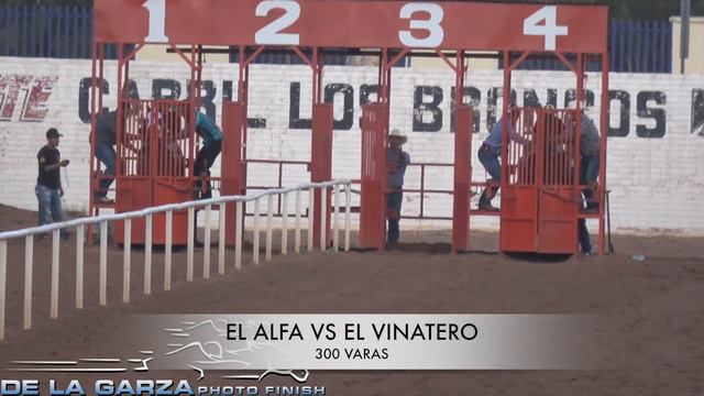 EL VINATERO VS EL ALFA 300 VARAS смотреть онлайн