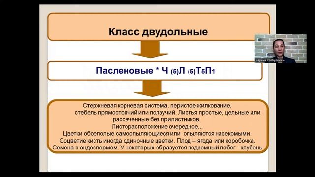 Семейство Пасленовые   6 класс