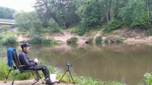 ПОДБОРКА ЛУЧШИХ ПОКЛЁВОК! ФИДЕРНАЯ ЛОВЛЯ 2021