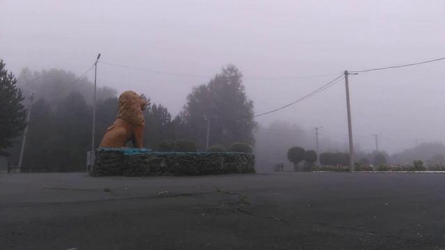 Утренний молебен 1-й день смотреть онлайн