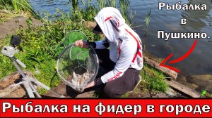 Рыбалка на фидер в городе. Сложная рыбалка в Пушкино.