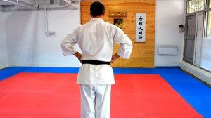 Ката Пинан Cоно Сан киокушинкай каратэ So-Kyokushin karate/ Kata Pinan sono san
