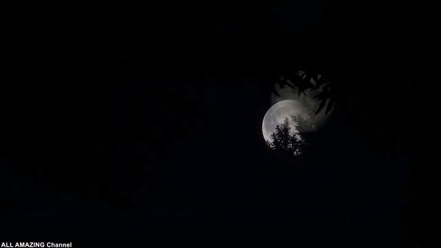 Белый Месяц, Полнолуние и Красная Луна в Облаках | Обволакивающая Музыка | Смотри Какая Красота! смотреть онлайн