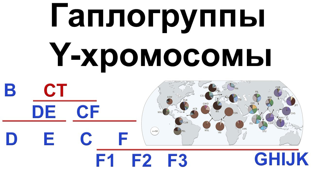 Гаплогруппы Y-хромосомы человека. Происхождение современных неафриканских линий Y-ДНК