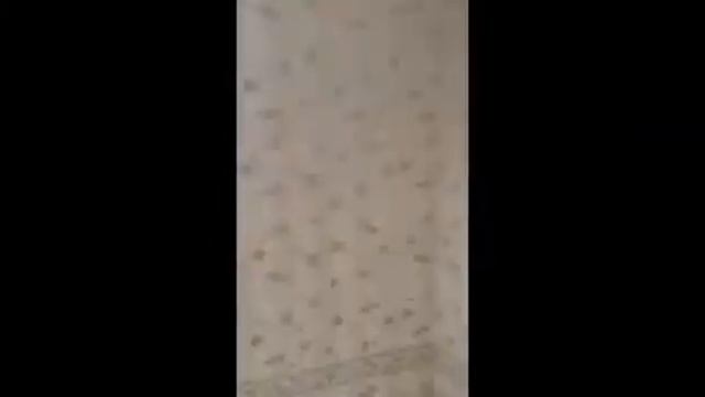 Строительная компания Манхеттен Строительство, ремонт, дизайн смотреть онлайн