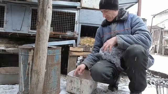 Окрол! И мало пуха в гнезде смотреть онлайн