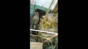 Смеситель ЗШ-400 с выгружным шнеком (нержавеющая сталь) от АлиСтанок