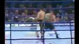 Боксер танцор