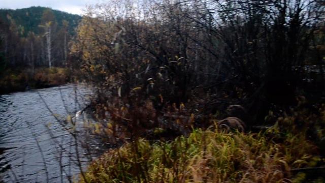 Горная река, Бурятия смотреть онлайн