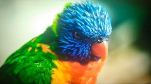 Монитор AOC C27G2ZU/BK - краткий обзор