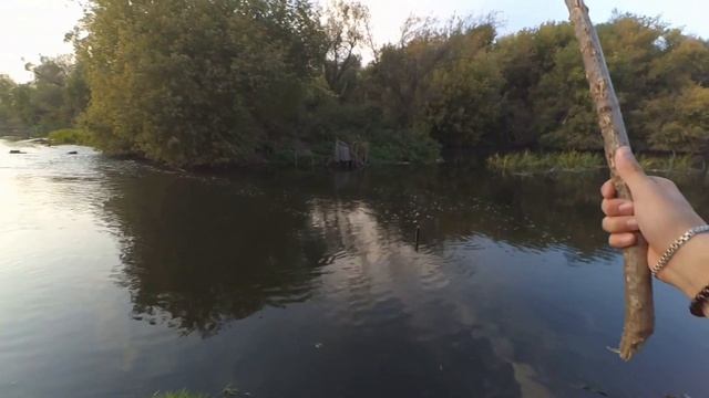 ПОЙМАЛ РЫБУ НА ПАЛКУ//ВЕЧЕР НА РЕКЕ//РЫБАЛКА ЗА 0 РУБЛЕЙ!