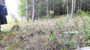 А Газ -66. Дизель от Т - 40 Едем готовить листвяные жерди, для ремонта изгороди