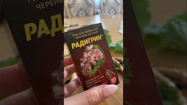 Часть1. Радигрин и черенки пеларгонии смотреть онлайн