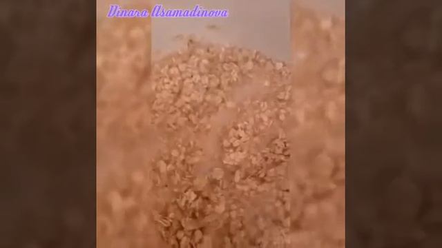 Геркулес қазақша рецепт сұлы жармасы