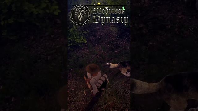 Medieval Dynasty - как не выжить