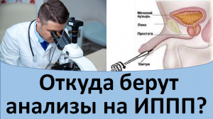 Откуда берут анализы на ИППП