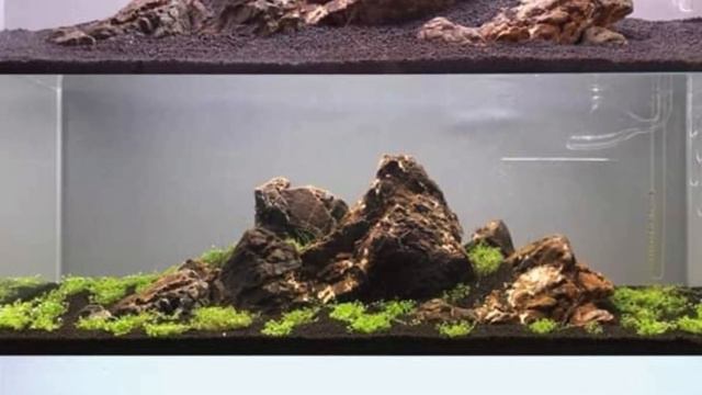 IWAGUMI AQUASCAPE COLLECTION Part 1