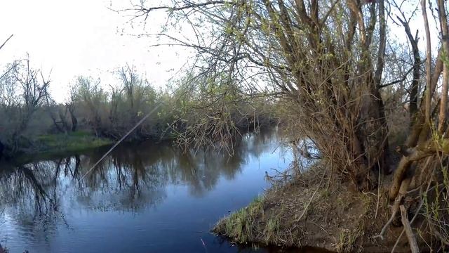 МАРЬИНО пруд, ДУБНА река, САДОВНИКОВО плотина