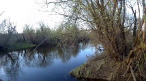 МАРЬИНО пруд, ДУБНА река, САДОВНИКОВО плотина