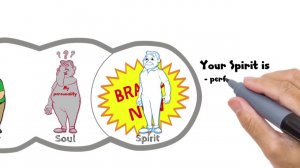 Из чего состоит человек? Часть 2.