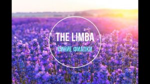 The Limba - Синие фиалки