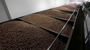 Орех макадамия - Из чего это сделано