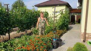 Лучшее от вершинной гнили и недорогое