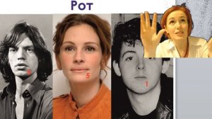 ФИЗИОГНОМИКА. Обучение 1 день.